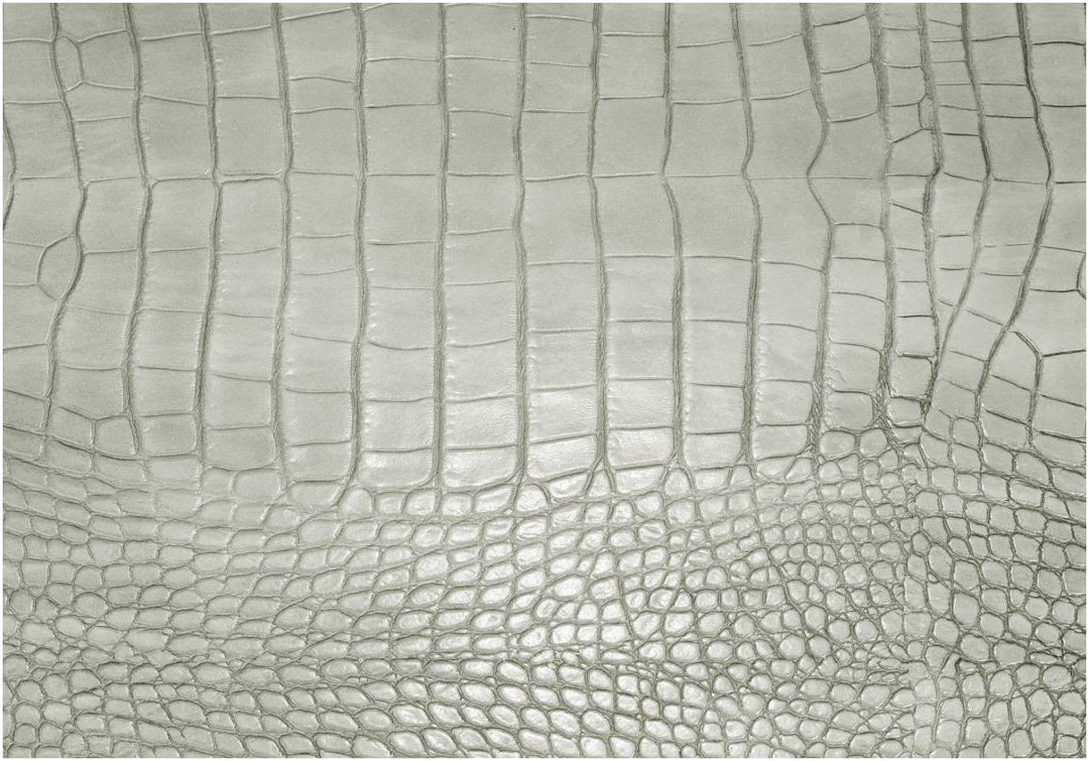 Tischset 33x45cm Grau LEATHERIXX GATOR