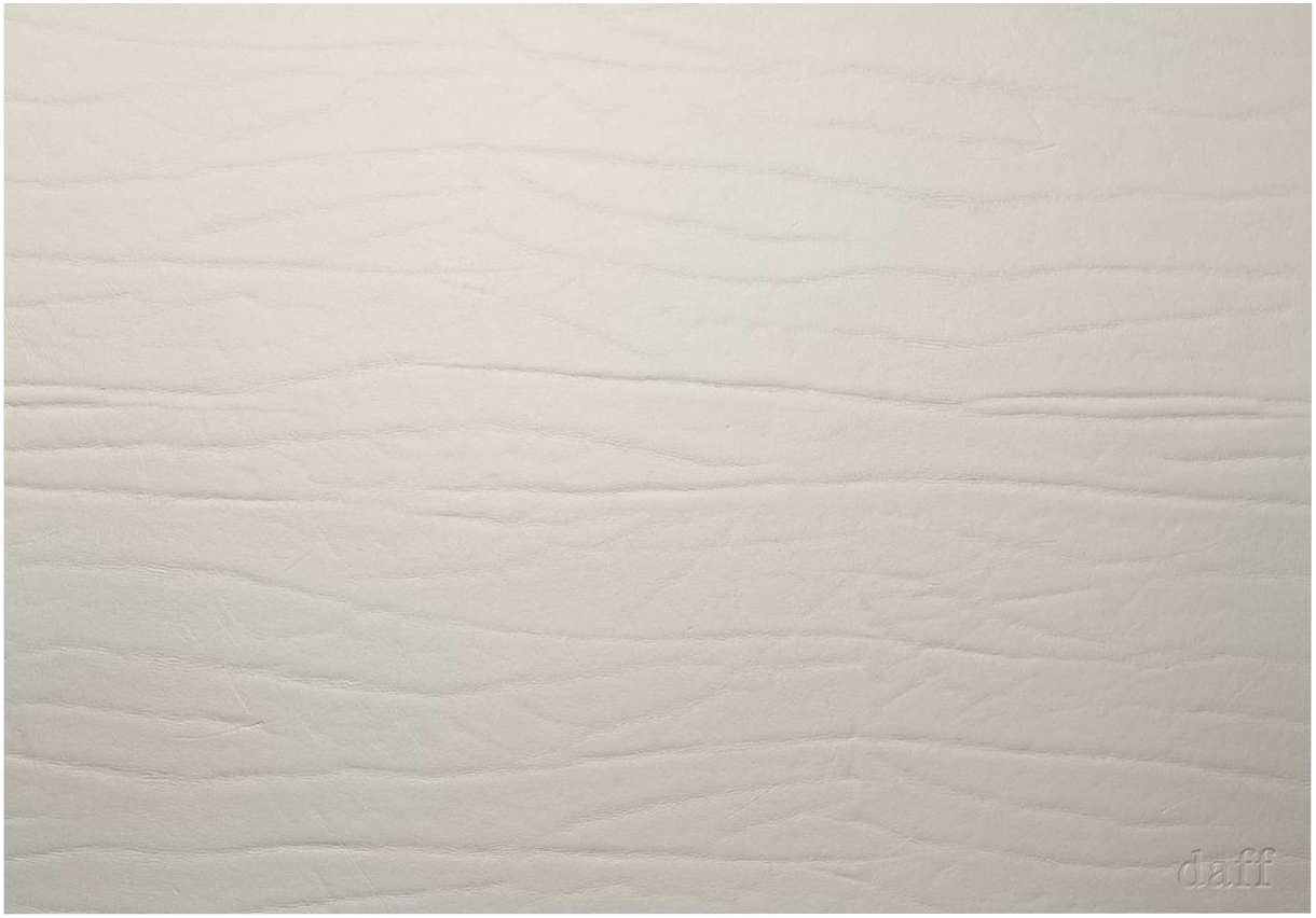 Placemat 31x42cm Silver LEATHERIXX DUMBO