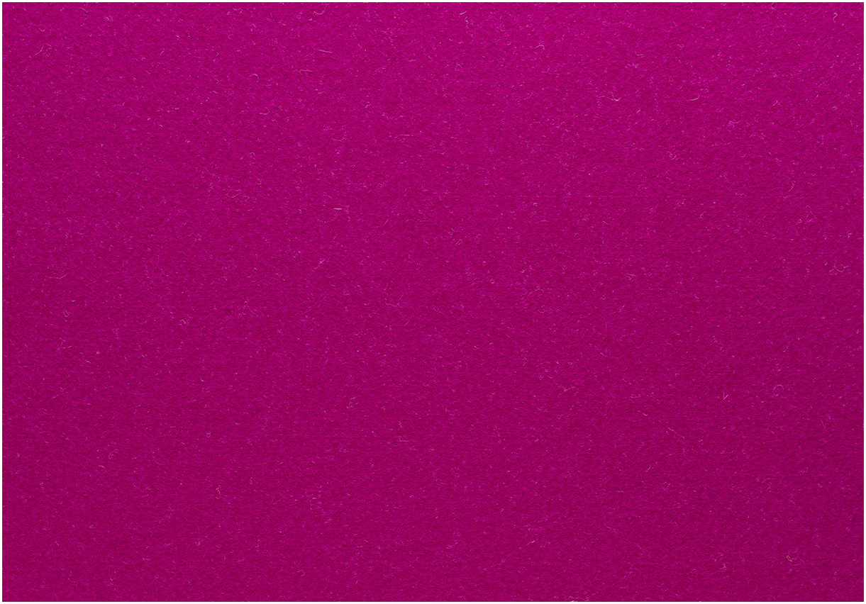 Placemat 31x42cm Berry FIBERIXX