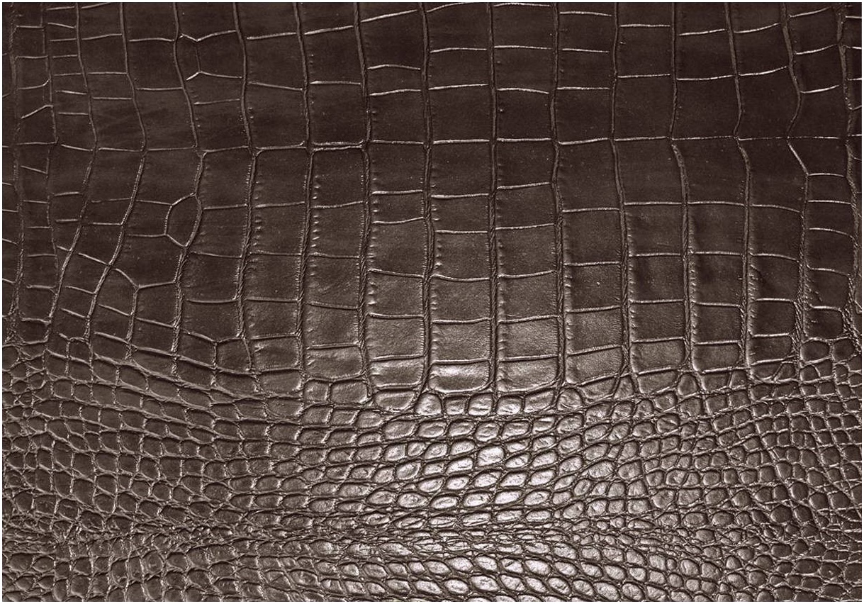 Placemat 33x45cm dark brown LEATHERIXX GATOR