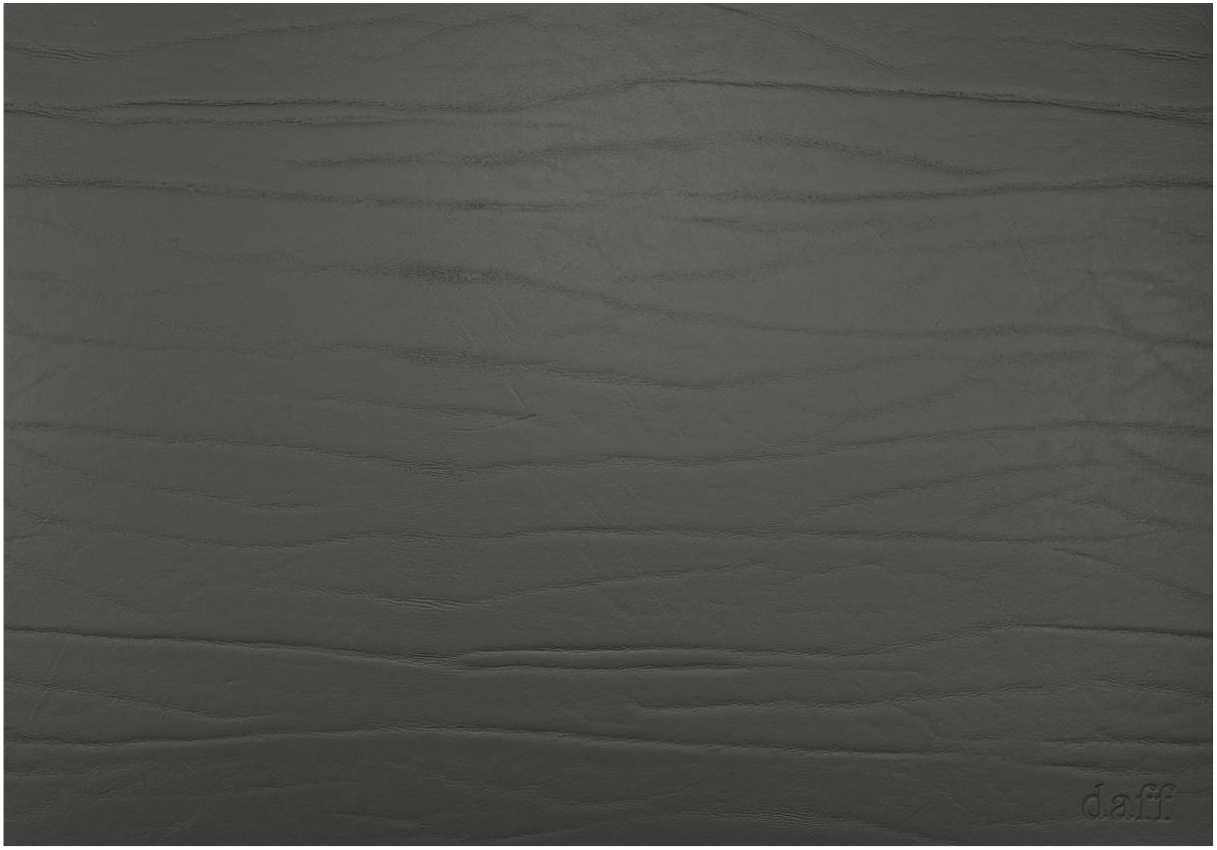 Placemat 31x42cm Black LEATHERIXX DUMBO