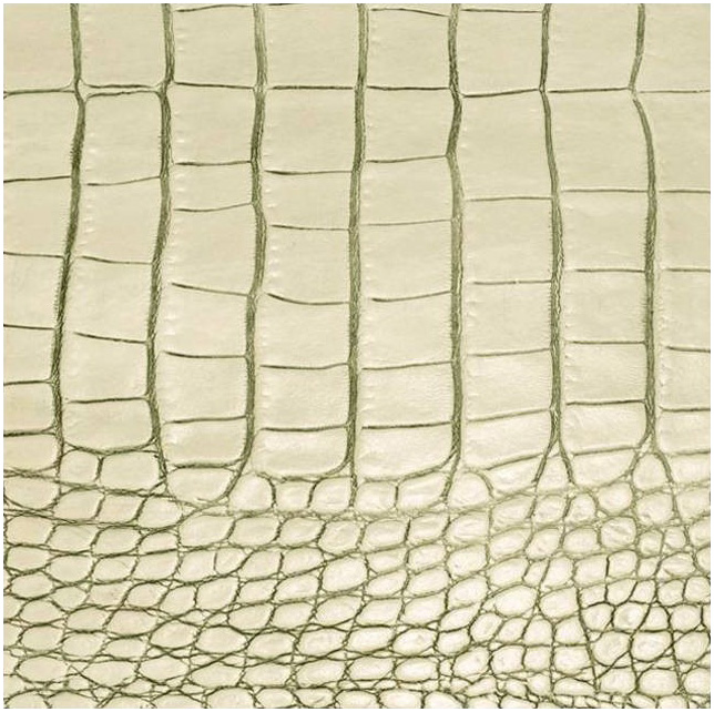 Coaster 10x10cm ivory LEATHERIXX GATOR