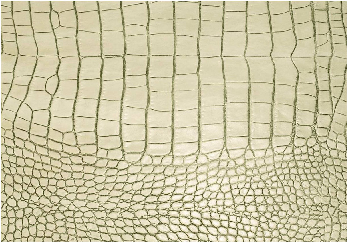 Tischset 33x45cm Elfenbein LEATHERIXX GATOR