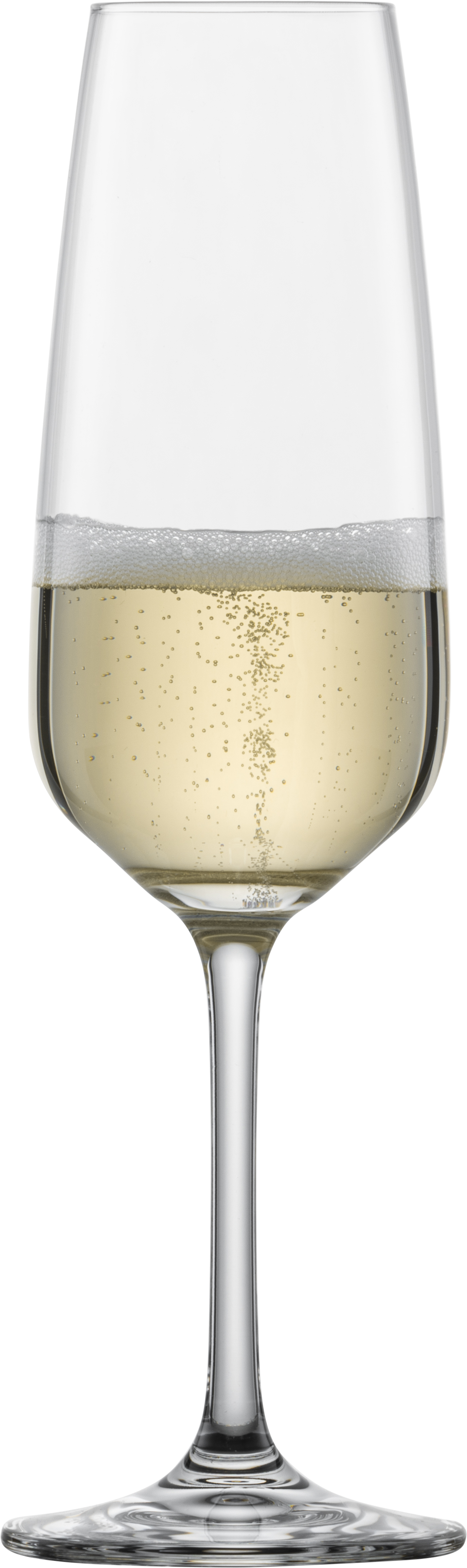 Champagne glass Tulip