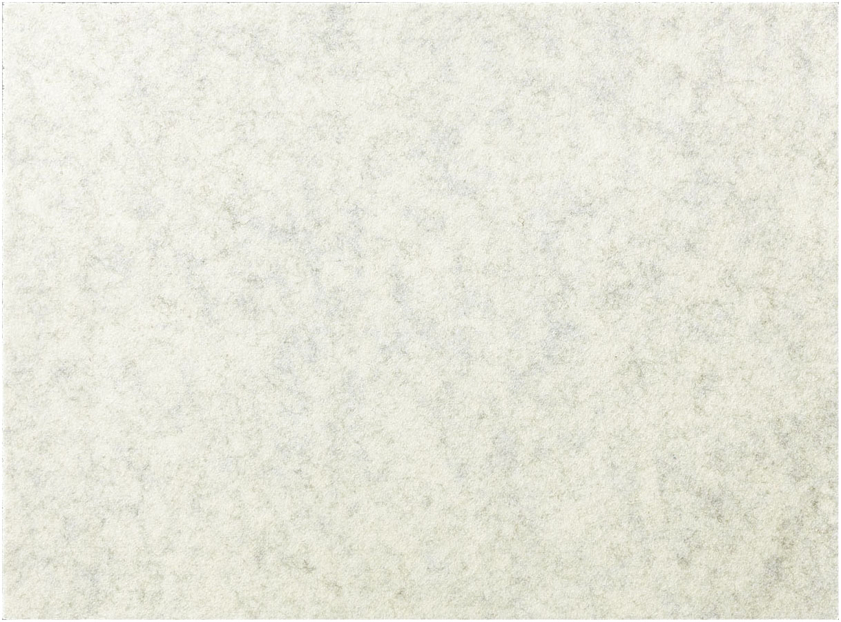 Placemat 31x42cm Beige FIBERIXX