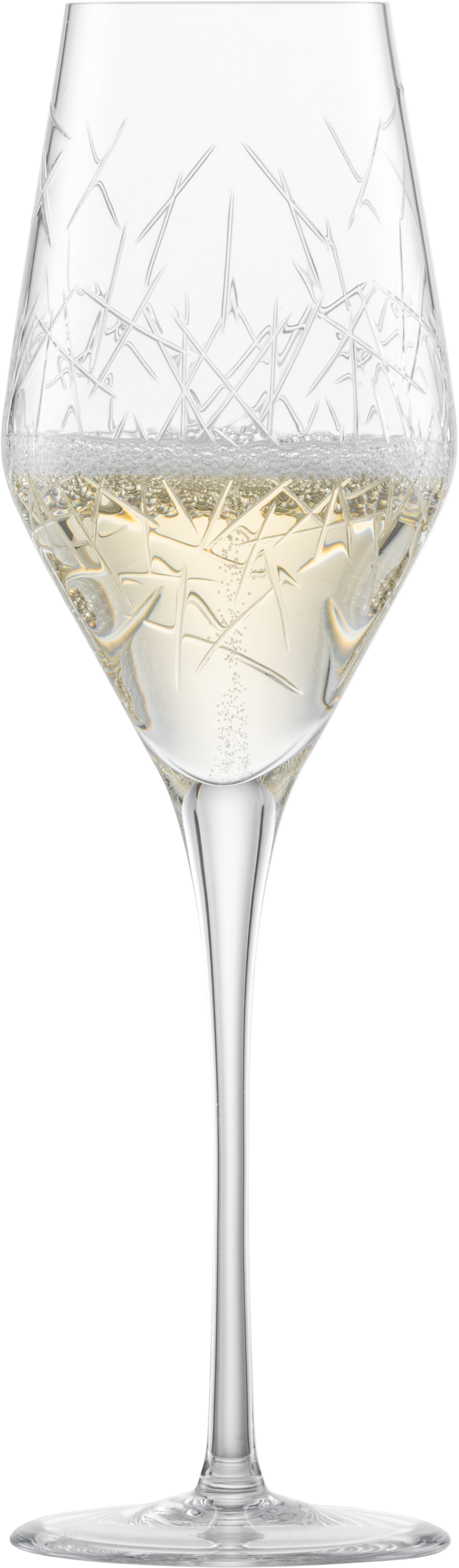Champagne glass  Bar Premium No.3