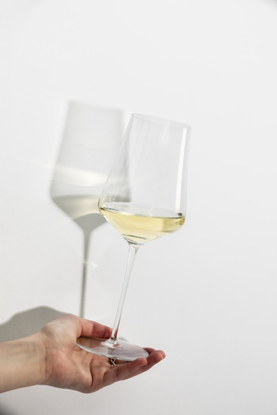 Zwiesel Glas - Allround wine glass Duo  - 123472 - Gr1 - fstu-2