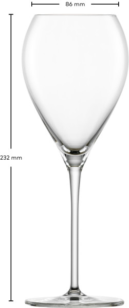 Schott Zwiesel - Bar Special Iseo Sektglas - 121797 - Gr78 - fstu-2