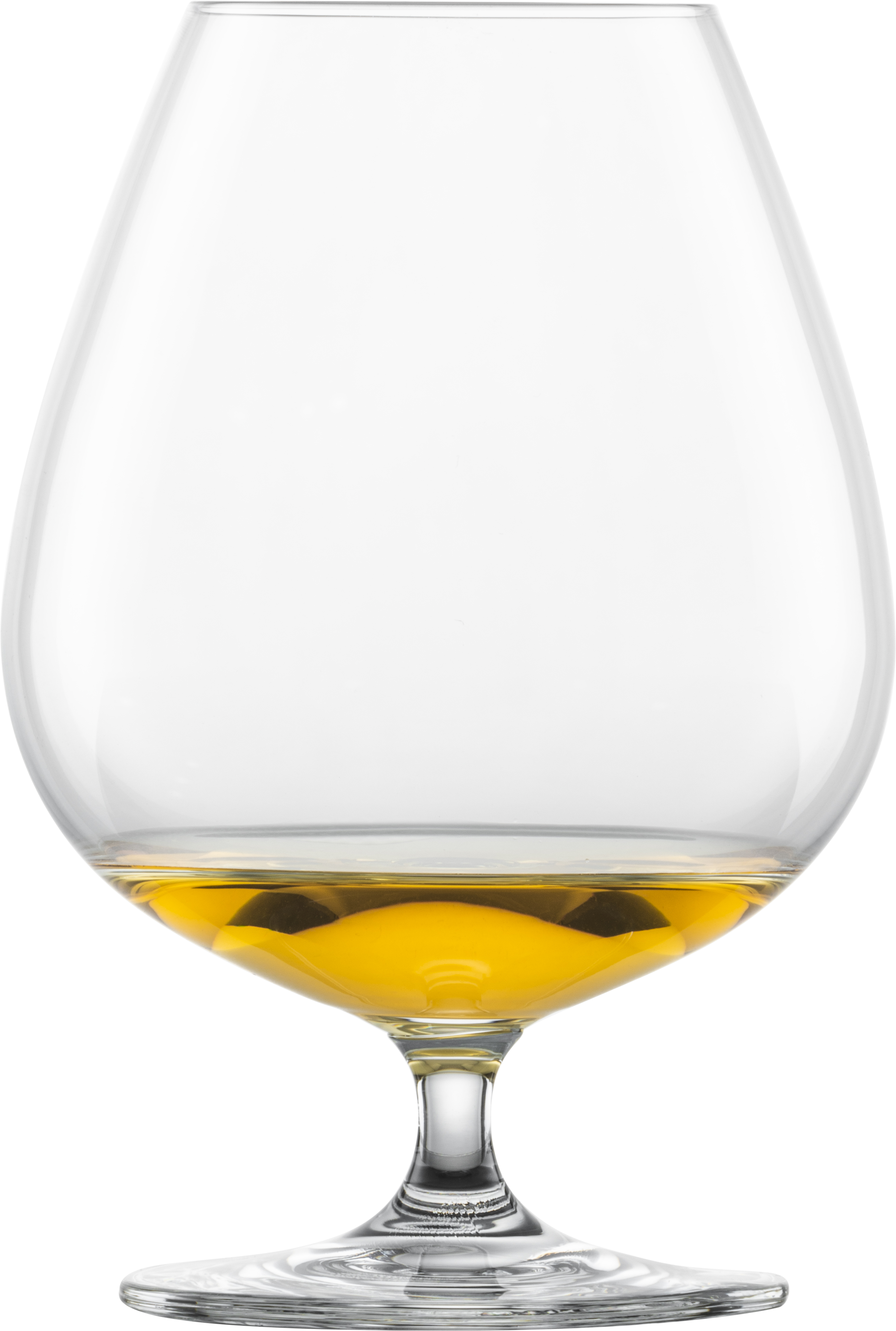 Wetenschap lava Discriminerend Schott Zwiesel Cognac glass XXL Bar Special | ZWIESEL GLAS