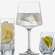Lot de 2 Verres à Gin Tonic de Luxe Pour Les Amateurs de Gin – Inc. 2 x Verre  Gin Tonic/Cocktail en Relief Avec Détails Dorés